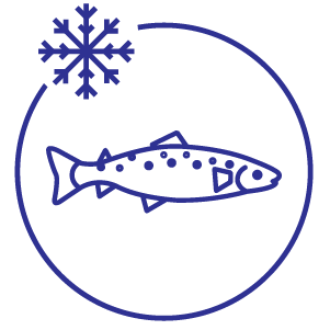 Frozen Fish